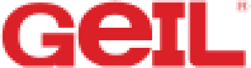 logo de la marque GeIL