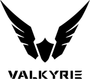 logo de la marque Valkyrie