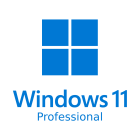 Windows 11 Professionnel