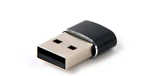 Photo de Adaptateurs & Convertisseurs CableXpert A-USB2-AMCF-02