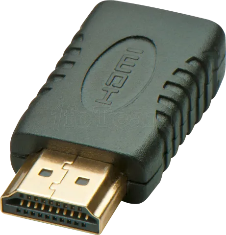 Photo de Adaptateur Lindy Mini HDMI femelle (Type C) vers HDMI mâle (Type A) (Noir)