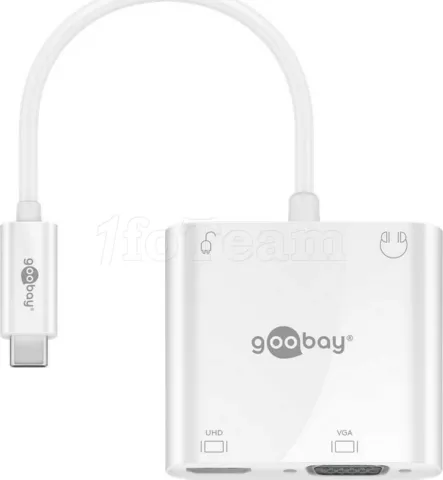 Photo de Adaptateur USB 3.0 Type C 100W Goobay vers HDMI + VGA (Blanc)