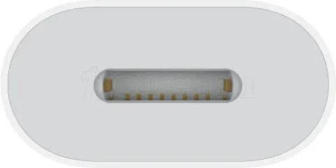Photo de Câble adaptateur Apple Lightning mâle 1.2 vers USB-C 10cm (Blanc)