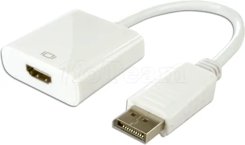 Photo de Câble adaptateur Connectland DisplayPort mâle 1.1 vers HDMI femelle (Type A) 10cm (Blanc)