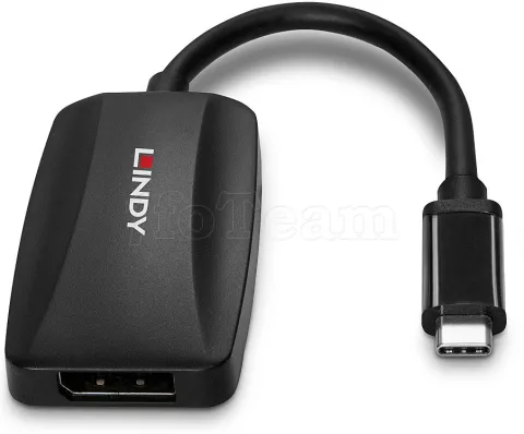 Photo de Cable adaptateur USB Type C Lindy vers DisplayPort 1.4 13cm (Noir)