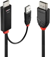 Photo de Câble HDMI Lindy vers DisplayPort 1m M/M (Noir)