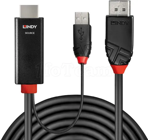 Photo de Câble HDMI Lindy vers DisplayPort 3m M/M (Noir)