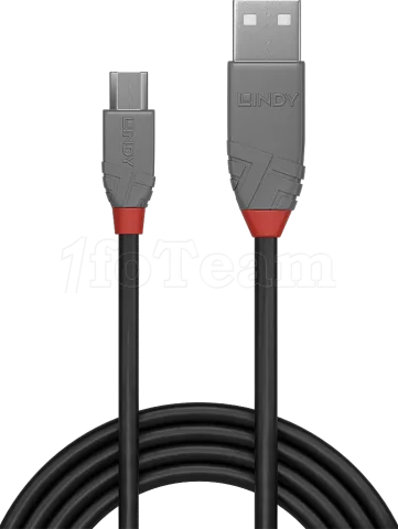 Photo de Cable Lindy Anthra Line USB 2.0 vers Micro B M/M 20cm (Gris)