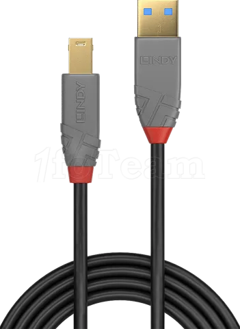Photo de Cable Lindy Anthra Line USB 3.2 A/B M/M 1m (Gris)
