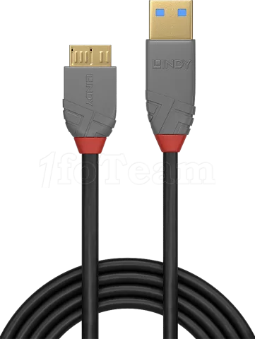Photo de Cable Lindy Anthra Line USB 3.2 vers Micro B M/M 1m (Gris)