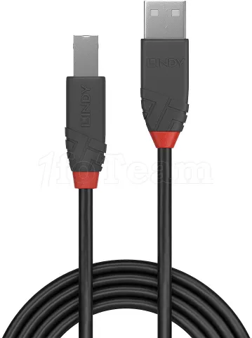 Photo de Cable Lindy USB 2.0 type A - B M/M 10m (Noir/Rouge)