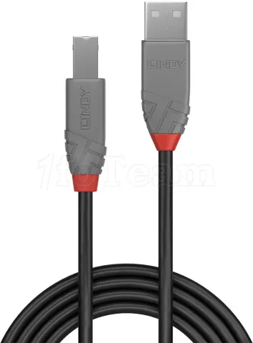 Photo de Cable Lindy USB 2.0 type A - B M/M 2m (Gris)