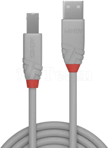 Photo de Cable Lindy USB 2.0 type A - B M/M 3m (Gris)