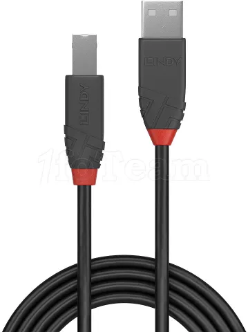 Photo de Cable Lindy USB 2.0 type A - B M/M 5m (Noir/Rouge)