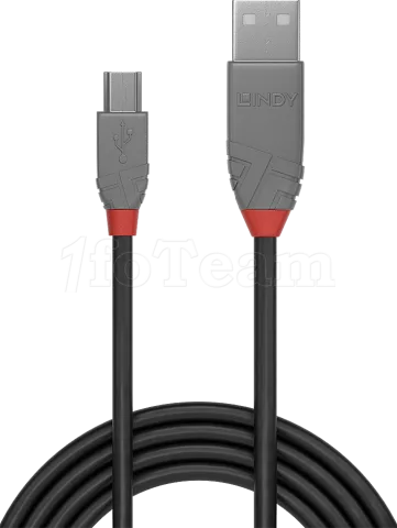Photo de Cable Lindy USB 2.0 type A - Mini B M/M 3m (Gris)