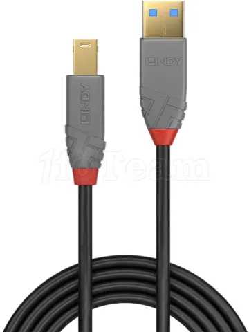Photo de Cable Lindy USB 3.0 type A - B M/M 3m (Gris/Noir)