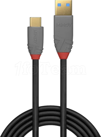 Photo de Cable Lindy USB 3.2 vers Type C M/M 10 GB/s 1m (Gris)