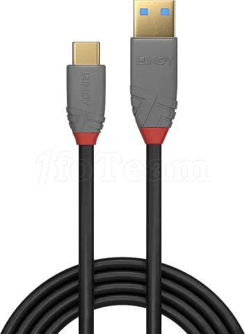 Photo de Cable Lindy USB 3.2 vers type C M/M 1,5m (Noir/Gris)