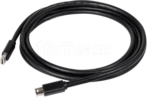 Photo de Cable Mini DisplayPort 1.4 Club3D M/M 2m (Noir)