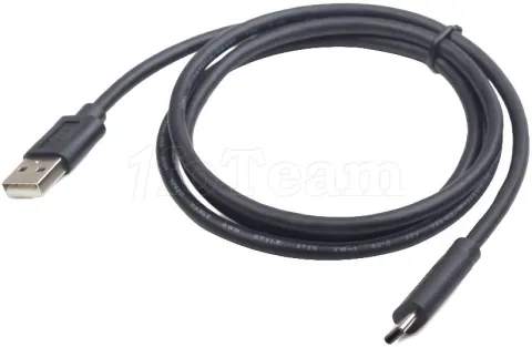 Photo de Cable USB 2.0 Gembird type A - type-C M/M 1m (Noir)