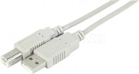 Photo de Cable USB 2.0 type AB M/M - 0.6m (Gris)