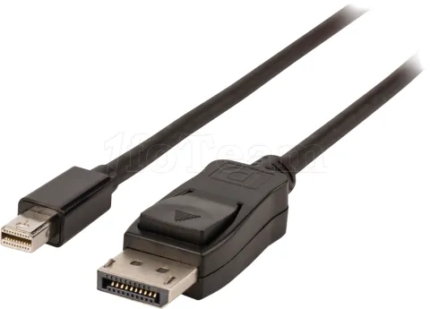 Photo de Cable ValueLine Mini DisplayPort vers DisplayPort M/M 1m