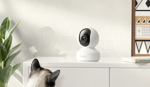 Photo de Caméra IP intérieur Reolink E340