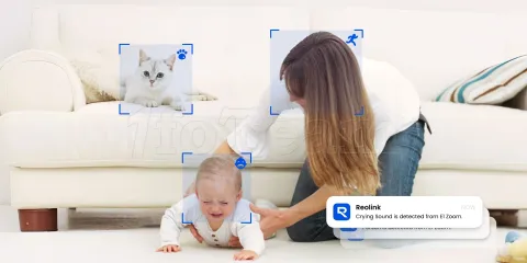 Photo de Caméra IP intérieur Reolink E340