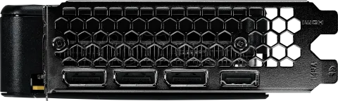 Photo de Carte Graphique Palit GeForce RTX 5050 Dual