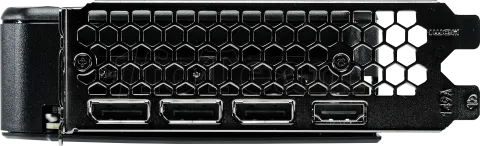 Photo de Carte Graphique Palit GeForce RTX 5060 Dual