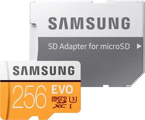 Photo de Carte mémoire Micro SD avec adaptateur Samsung Evo - 256Go