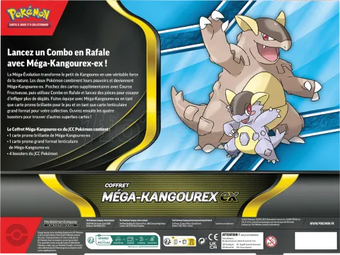 Photo de Carte Pokemon : Coffret Premium Novembre Ex 4B (Fr)