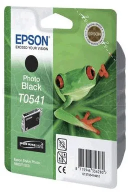 Photo de Cartouche d'encre Epson Grenouille T0541 (Noir Photo)