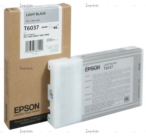 Photo de Cartouche d'encre Epson T603700 (Gris)