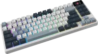Photo de Clavier MSI Forge GK600 TKL Sky