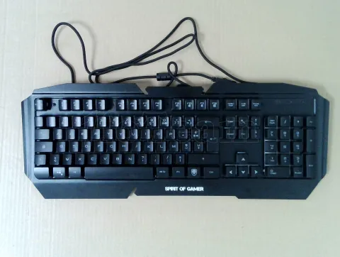 Photo de Clavier Gamer Spirit of Gamer Pro-K5 RGB (Noir)  -  ID 224853