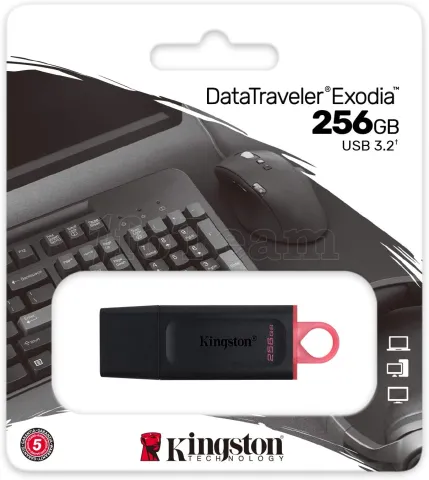 Photo de Clé USB 3.2 Kingston DataTraveler Exodia - 256Go (Rose/Noir)