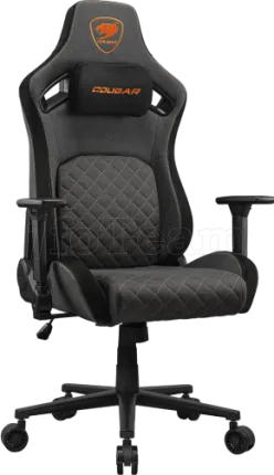 Photo de Fauteuil Cougar Defensor (gris)