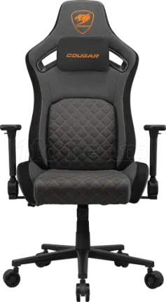 Photo de Fauteuil Cougar Defensor (gris)
