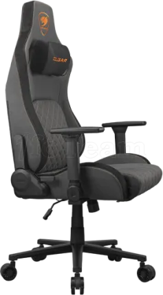 Photo de Fauteuil Cougar Defensor (gris)