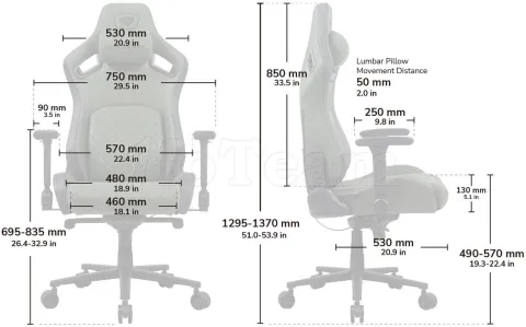 Photo de Fauteuil Cougar Defensor S (Gris)