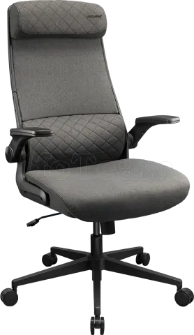 Photo de Fauteuil Cougar Stryder (Gris)