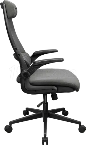 Photo de Fauteuil Cougar Stryder (Gris)