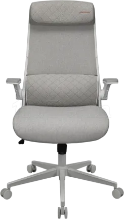 Photo de Fauteuil ergonomique Cougar Stryder (Blanc)