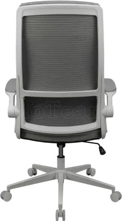 Photo de Fauteuil ergonomique Cougar Stryder (Blanc)