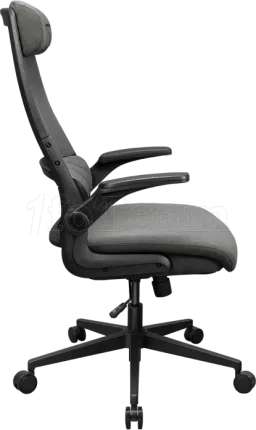 Photo de Fauteuil ergonomique Cougar Stryder (Gris)