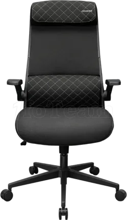 Photo de Fauteuil ergonomique Cougar Stryder (Noir)