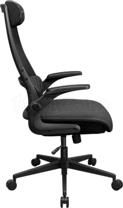 Photo de Fauteuil ergonomique Cougar Stryder (Noir)