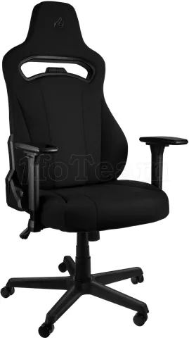 Photo de Fauteuil Nitro Concepts E250 (Noir)