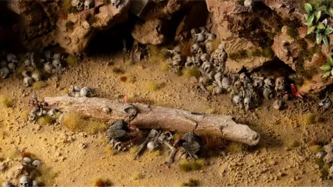 Photo de Gamers Grass - Basing Bits : Skulls & Bones